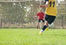 十五运会群,众赛事取得,显著成绩,爱游戏平台,爱游戏官方网站,爱游戏登录入口,爱游戏app下载