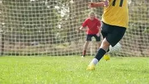 体育明星生肖排行深度解析与下载资源公开